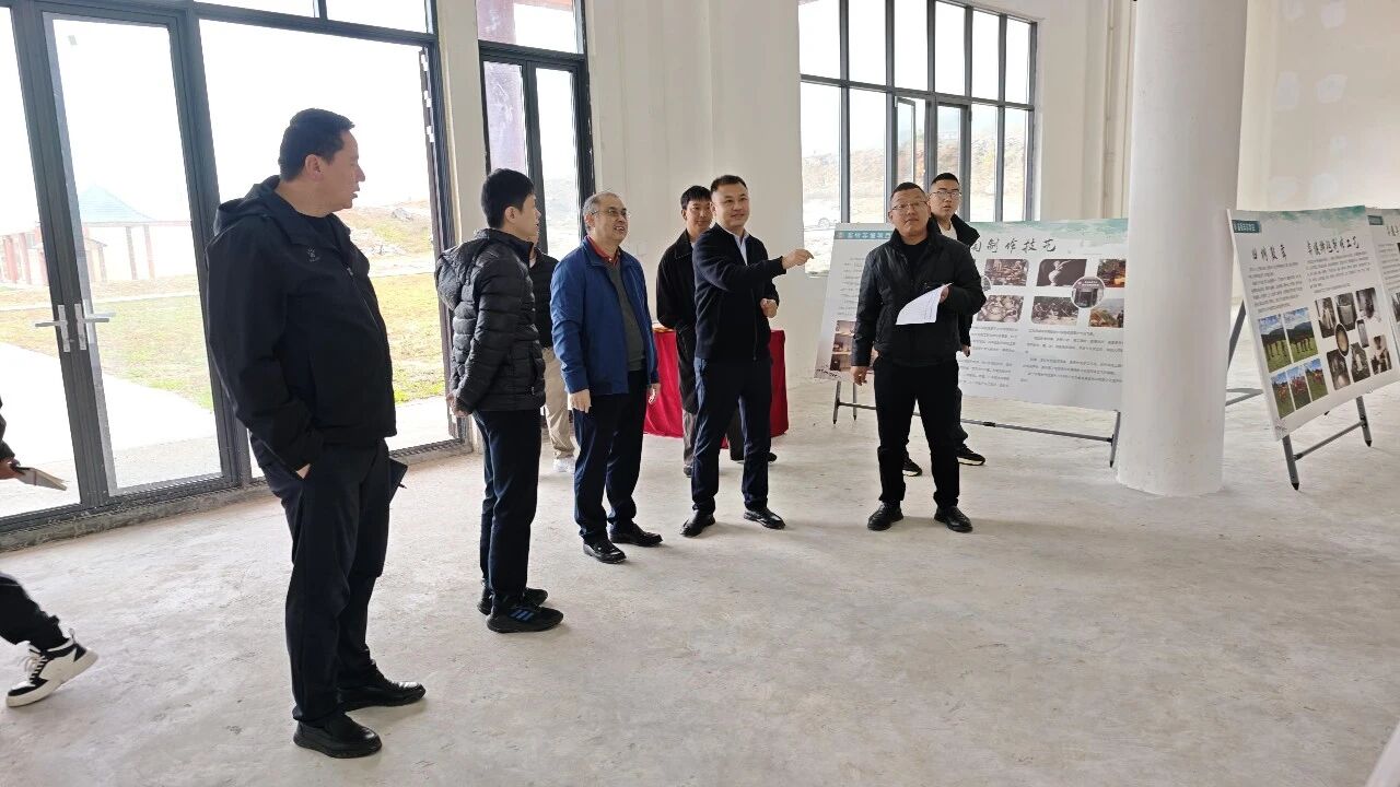 微信图片_2025-11-19_105644_236.jpg