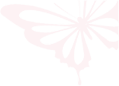 微信图片_2026-06-12_093245_094.png